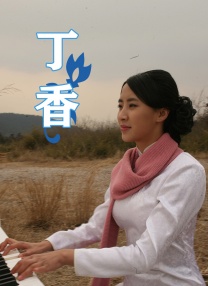 一区二区三区视频免费